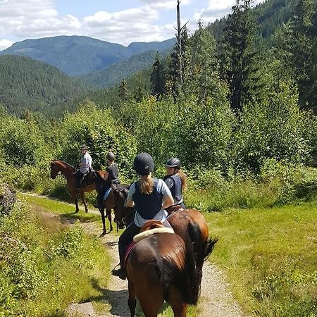 River Run Ranch - Telemark Drangedal Exteriér fotografie