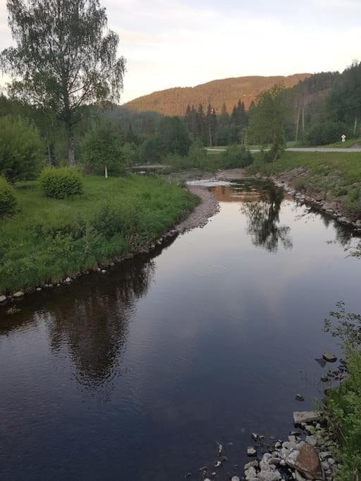 River Run Ranch - Telemark Drangedal Exteriér fotografie