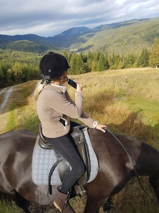 River Run Ranch - Telemark Drangedal Exteriér fotografie