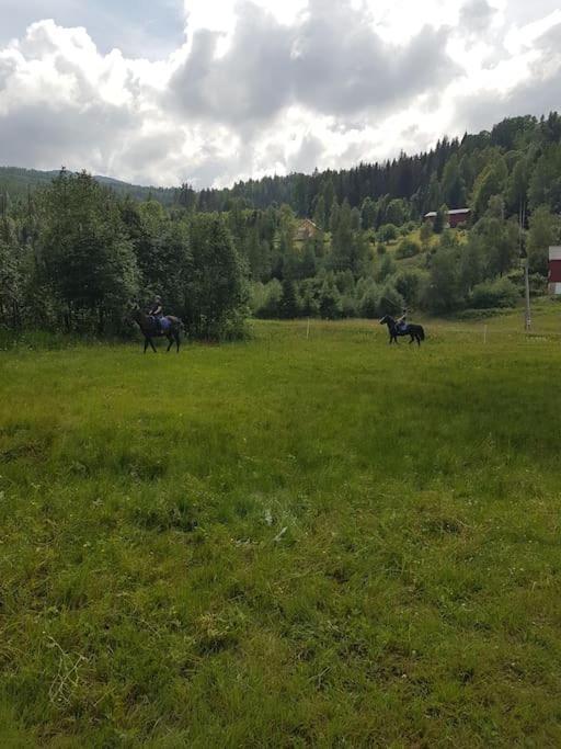 River Run Ranch - Telemark Drangedal Exteriér fotografie