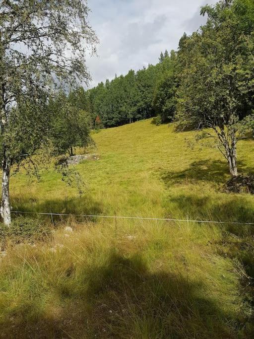 River Run Ranch - Telemark Drangedal Exteriér fotografie
