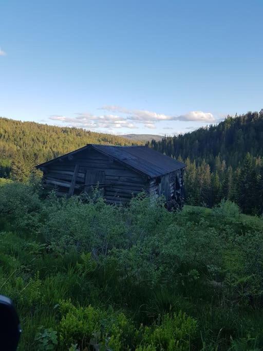 River Run Ranch - Telemark Drangedal Exteriér fotografie