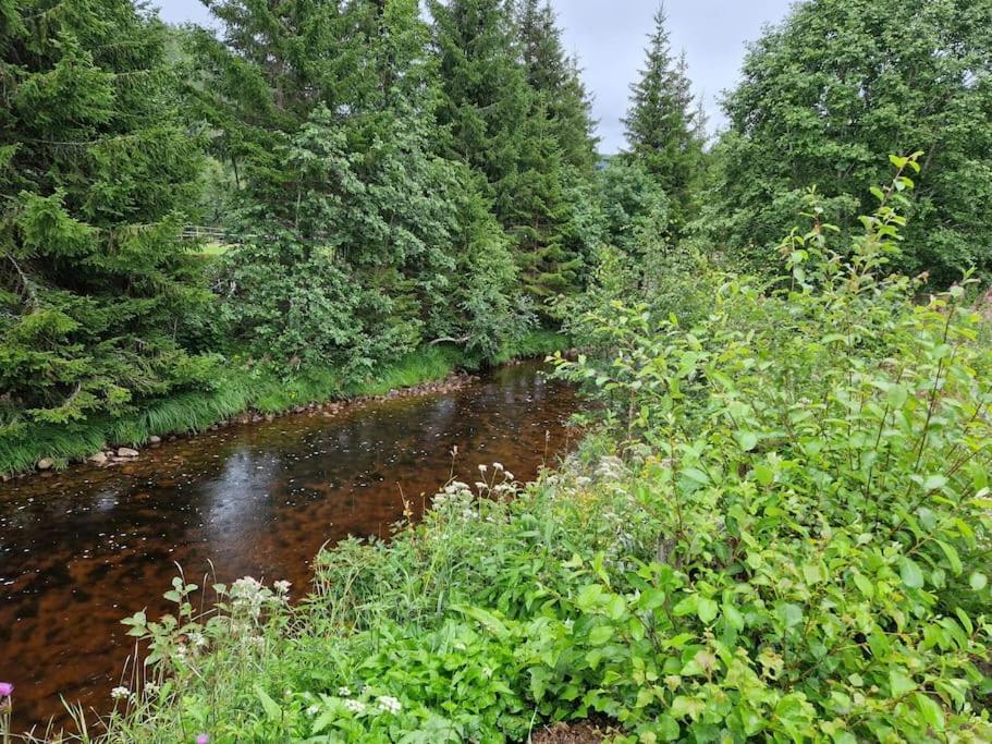 River Run Ranch - Telemark Drangedal Exteriér fotografie