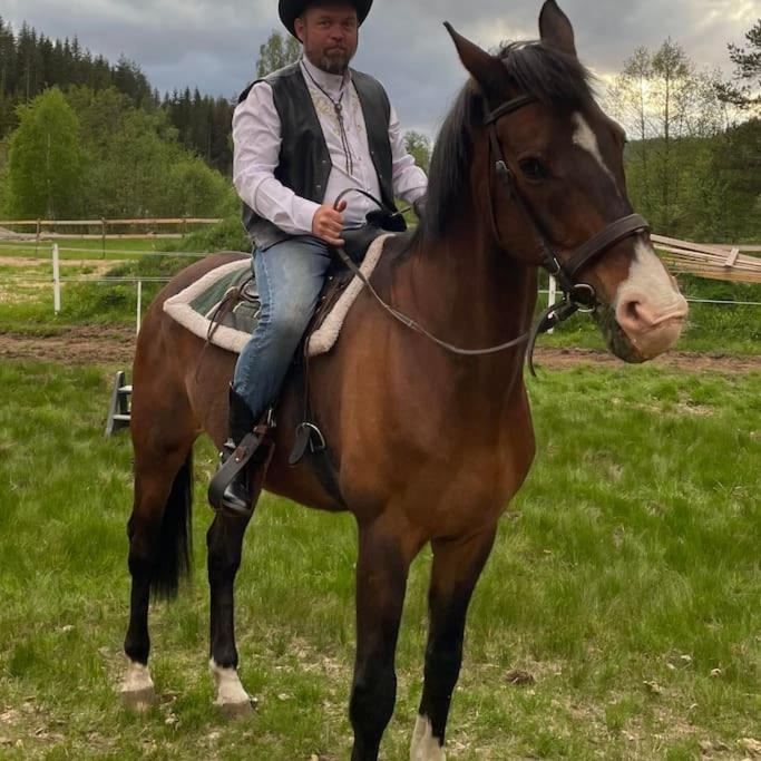 River Run Ranch - Telemark Drangedal Exteriér fotografie