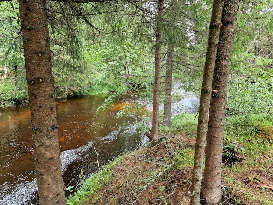 River Run Ranch - Telemark Drangedal Exteriér fotografie