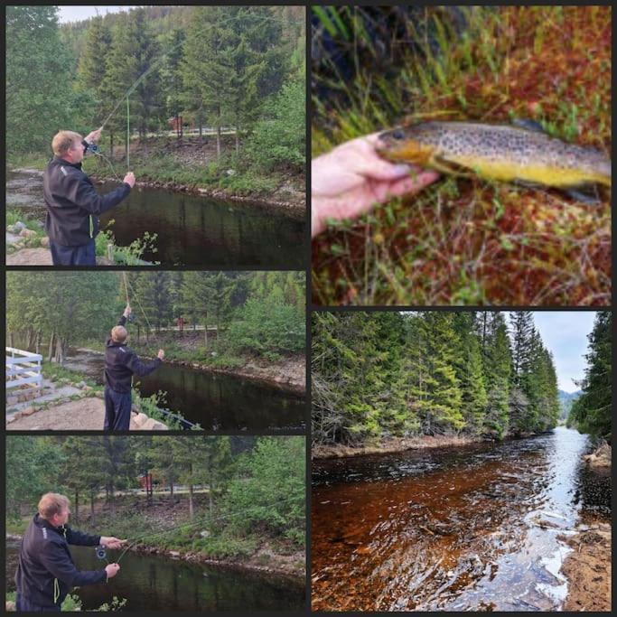 River Run Ranch - Telemark Drangedal Exteriér fotografie